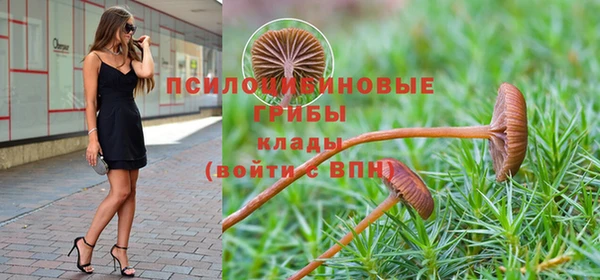 мет Надым