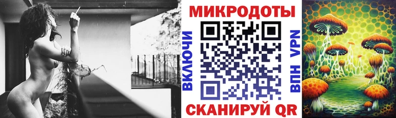 Псилоцибиновые грибы Psilocybine cubensis  Щёкино 